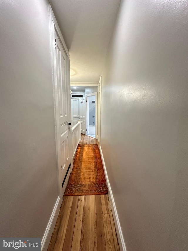 622 Saint Joseph St, Lancaster, PA 17603 - corridor with light wood-style floors and baseboards