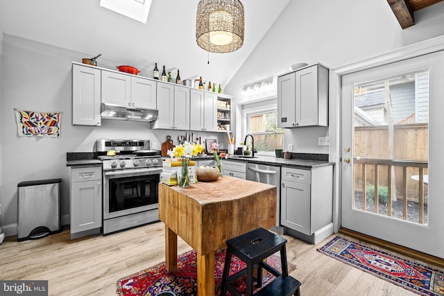 kitchen with light wood-type flooring, a skylight, open shelves, under cabinet range hood, and appliances with stainless steel finishes