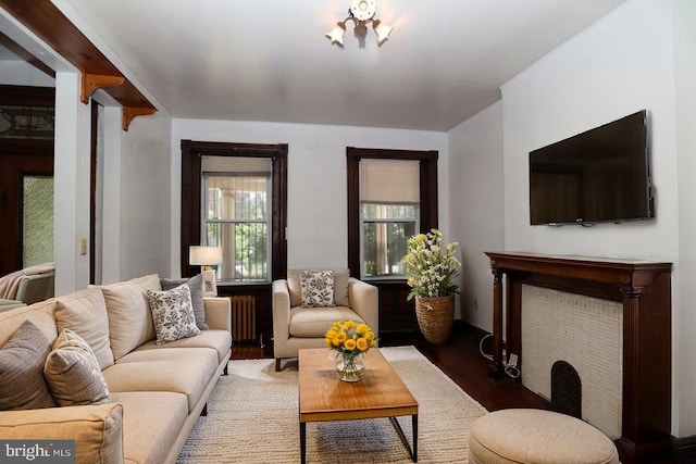4505 Chester Ave, Philadelphia, PA 19143 - living area with wood finished floors and radiator