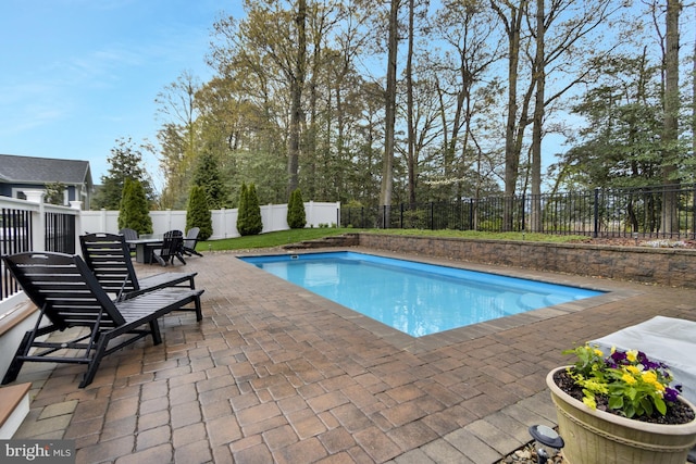 view of pool featuring a fenced in pool, a patio area, and a fenced backyard