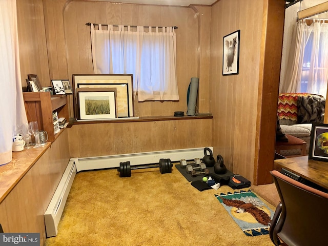 133 Black St, Howard, PA 16841 - exercise area with baseboard heating, carpet floors, and wood walls