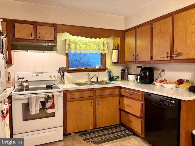 133 Black St, Howard, PA 16841 - kitchen featuring electric stove, a sink, light countertops, under cabinet range hood, and black dishwasher