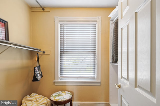 view of walk in closet