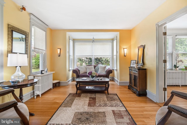 living area with light wood-type flooring, radiator, and baseboards
