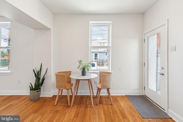 dining room featuring baseboards, a healthy amount of sunlight, and light wood-type flooring