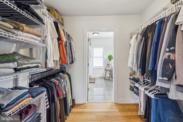 spacious closet with light wood-type flooring