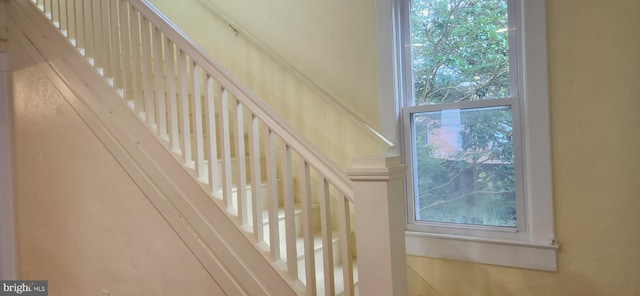 209 N Pine St, Seaford, DE 19973 - view of staircase