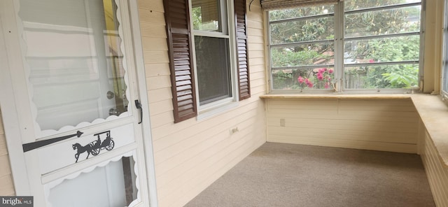 209 N Pine St, Seaford, DE 19973 - view of unfurnished sunroom
