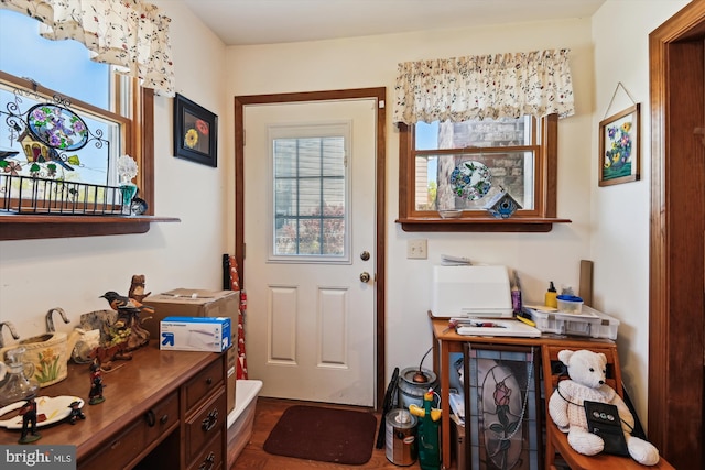 entryway with plenty of natural light