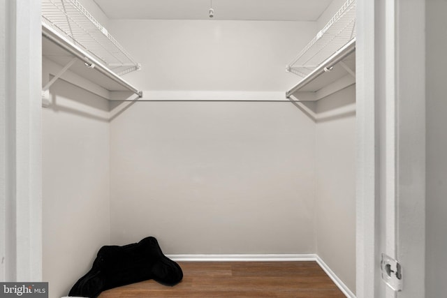walk in closet with wood finished floors