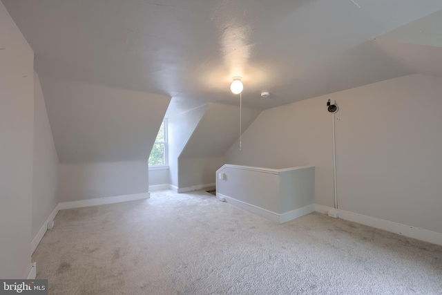 311 E Frederick St, Lancaster, PA 17602 - additional living space featuring carpet floors and lofted ceiling