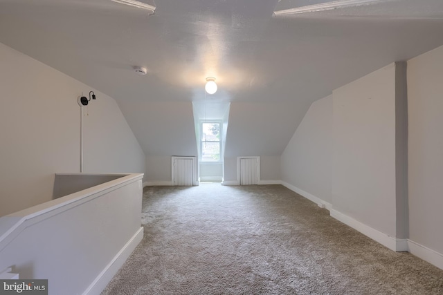 311 E Frederick St, Lancaster, PA 17602 - additional living space featuring carpet and vaulted ceiling