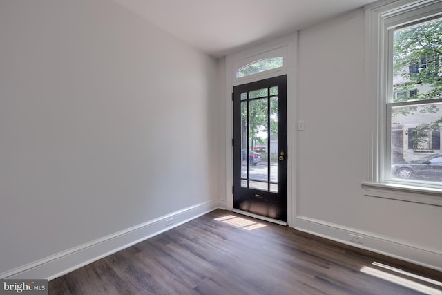 311 E Frederick St, Lancaster, PA 17602 - entrance foyer featuring healthy amount of natural light and dark wood-style flooring