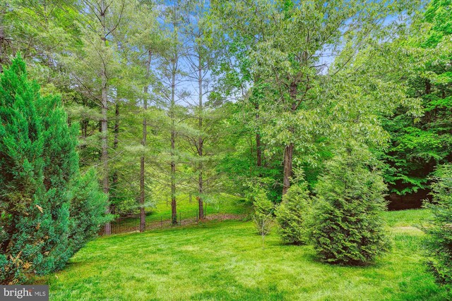 5856 Kittewan Ct, Manassas, VA 20112 - view of grassy yard featuring a view of trees
