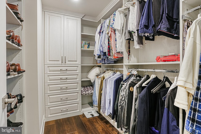 spacious closet featuring dark wood-type flooring