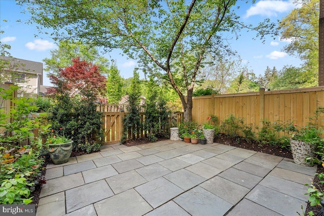 view of patio / terrace featuring a fenced backyard