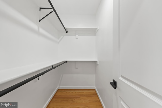 spacious closet with light wood-type flooring