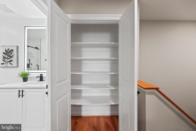 closet featuring visible vents and a sink