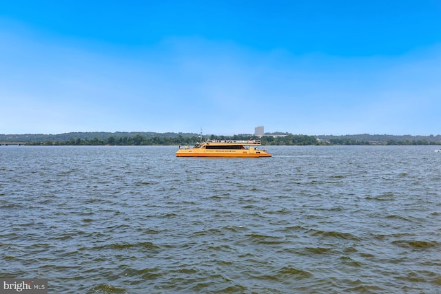 property view of water featuring a boat dock
