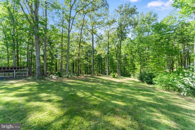 view of yard with a wooded view