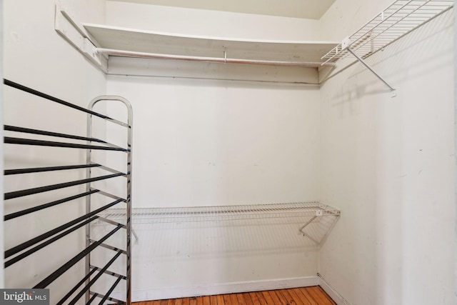 walk in closet featuring wood finished floors