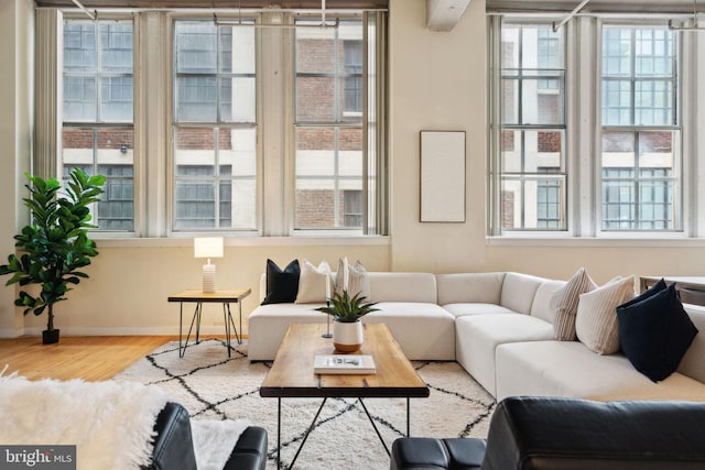 living room featuring wood finished floors and baseboards