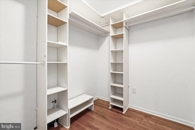 5342 Saint James Pl, Frederick, MD 21703 - walk in closet with wood finished floors