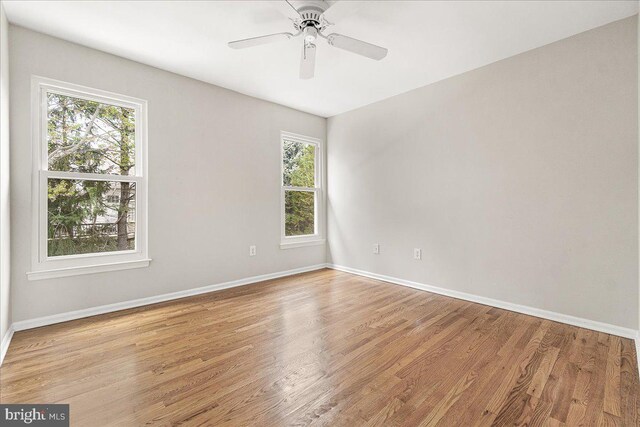 5342 Saint James Pl, Frederick, MD 21703 - empty room featuring baseboards, a ceiling fan, wood finished floors, and a healthy amount of sunlight