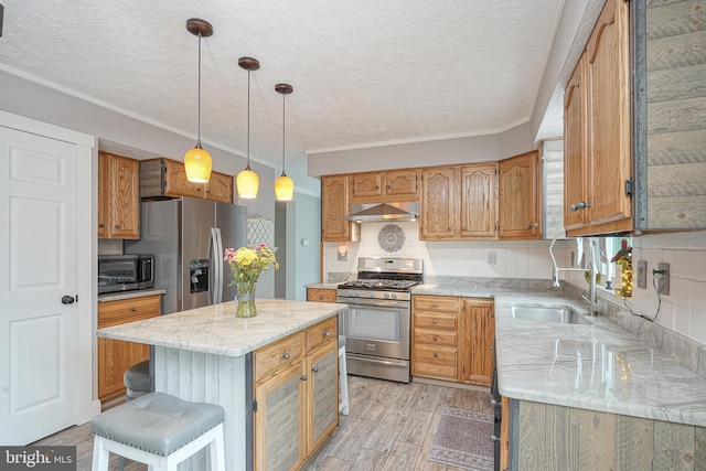 619 Walden Way, Lumberton, NJ 08048 - kitchen featuring appliances with stainless steel finishes, exhaust hood, light wood finished floors, a sink, and a textured ceiling
