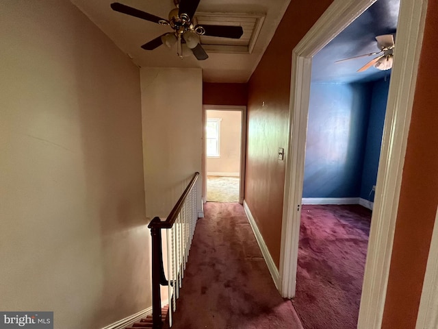 721 Tuckerman St NW, Washington, DC 20011 - hallway featuring carpet flooring and baseboards