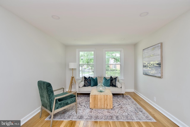 4803 30th St S Unit A2, Arlington, VA 22206 - living area featuring light wood-style floors