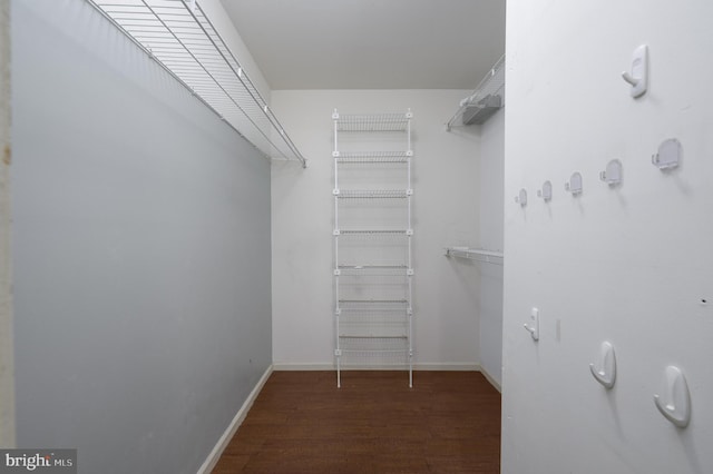 spacious closet featuring wood finished floors