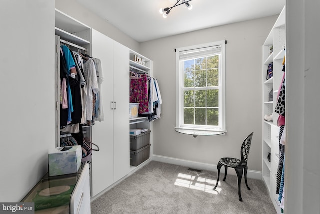 145 Rolling Ave, North East, MD 21901 - walk in closet with light carpet