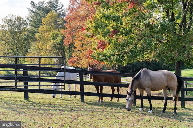 view of stable