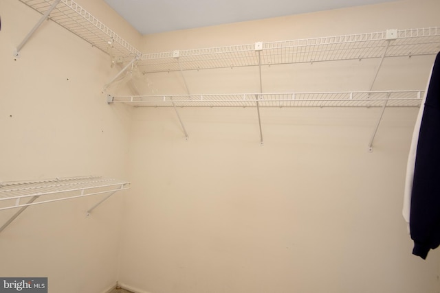 view of walk in closet
