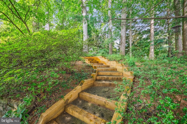 9127 Friars Rd, Bethesda, MD 20817 - view of yard with stairway
