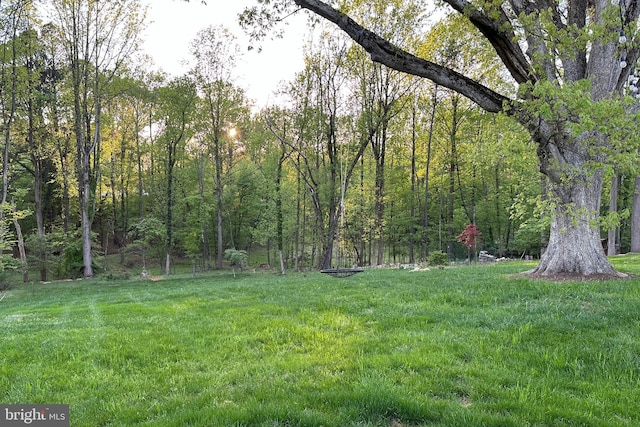 9850 Jerry Ln, Vienna, VA 22180 - view of green lawn featuring a view of trees