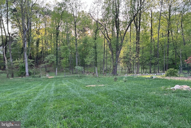 9850 Jerry Ln, Vienna, VA 22180 - view of grassy yard with a wooded view