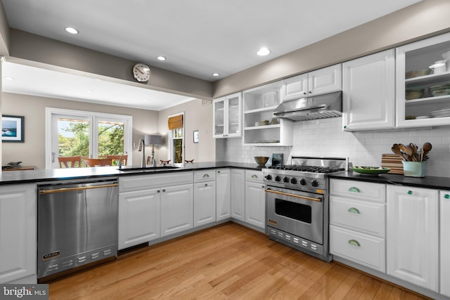 735 Dividing Rd, Severna Park, MD 21146 - kitchen featuring light wood-style floors, under cabinet range hood, appliances with stainless steel finishes, dark countertops, and a sink