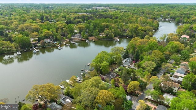 735 Dividing Rd, Severna Park, MD 21146 - drone / aerial view with a water view and a forest view