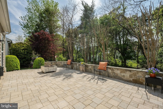 20391 Old Grey Pl, Ashburn, VA 20147 - view of patio with an outdoor fire pit