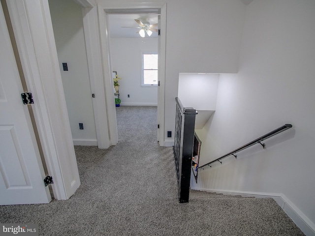 112 Jackson Ave, New Castle, DE 19720 - staircase with carpet, ceiling fan, and baseboards