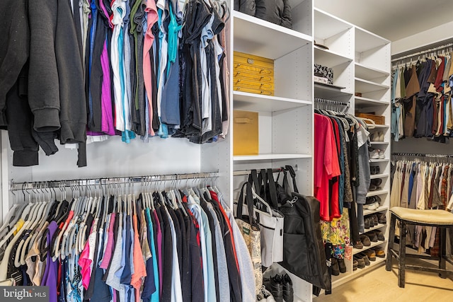 view of spacious closet