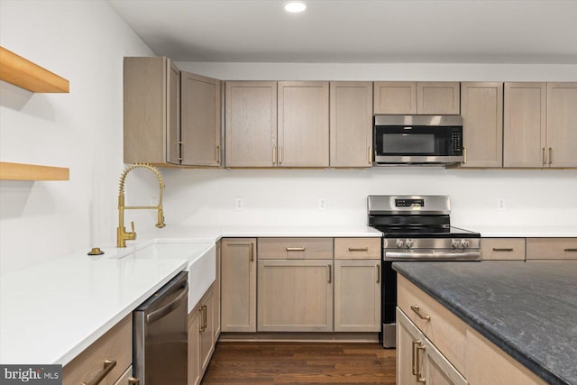 kitchen with open shelves, recessed lighting, dark wood-style flooring, a sink, and stainless steel appliances