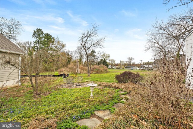 442 Ellisdale Rd, Crosswicks, NJ 08515 - view of yard