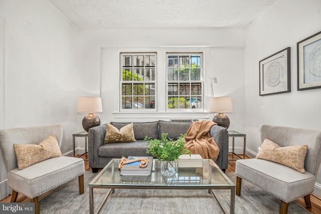 living area featuring baseboards, a textured ceiling, and wood finished floors