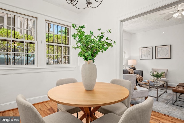 dining space with wood finished floors, baseboards, ceiling fan with notable chandelier, and a textured ceiling