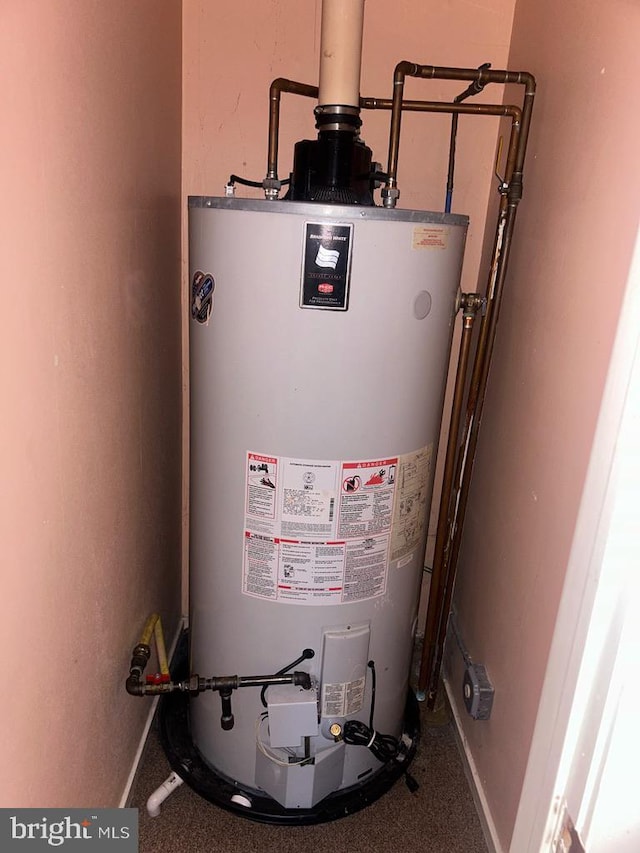 utility room featuring gas water heater