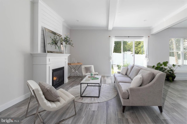 living room with beamed ceiling, baseboards, wood finished floors, and a glass covered fireplace