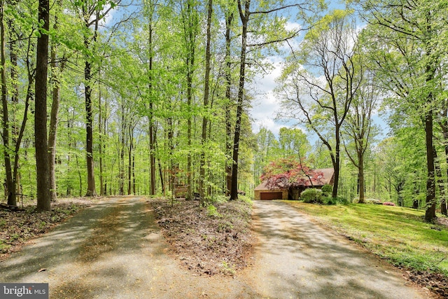 1326 Jones Station Rd, Arnold, MD 21012 - view of road with driveway and a wooded view
